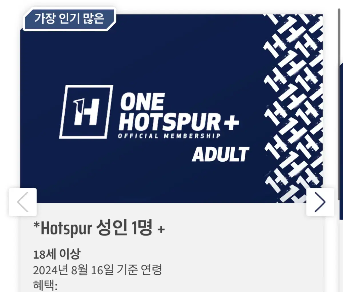 [최대2인] 토트넘 멤버쉽 one hotspur+ adult+ 대여